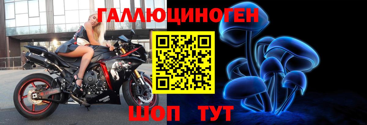 хочу   Псилоцибиновые грибы ЛСД  Вход с VPN  Ноябрьск 